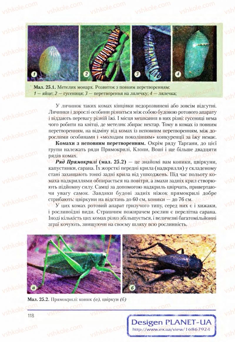 Страница 118 | Підручник Біологія 8 клас Т.І. Базанова, Ю.В. Павіченко, О.Г. Шатровський 2008