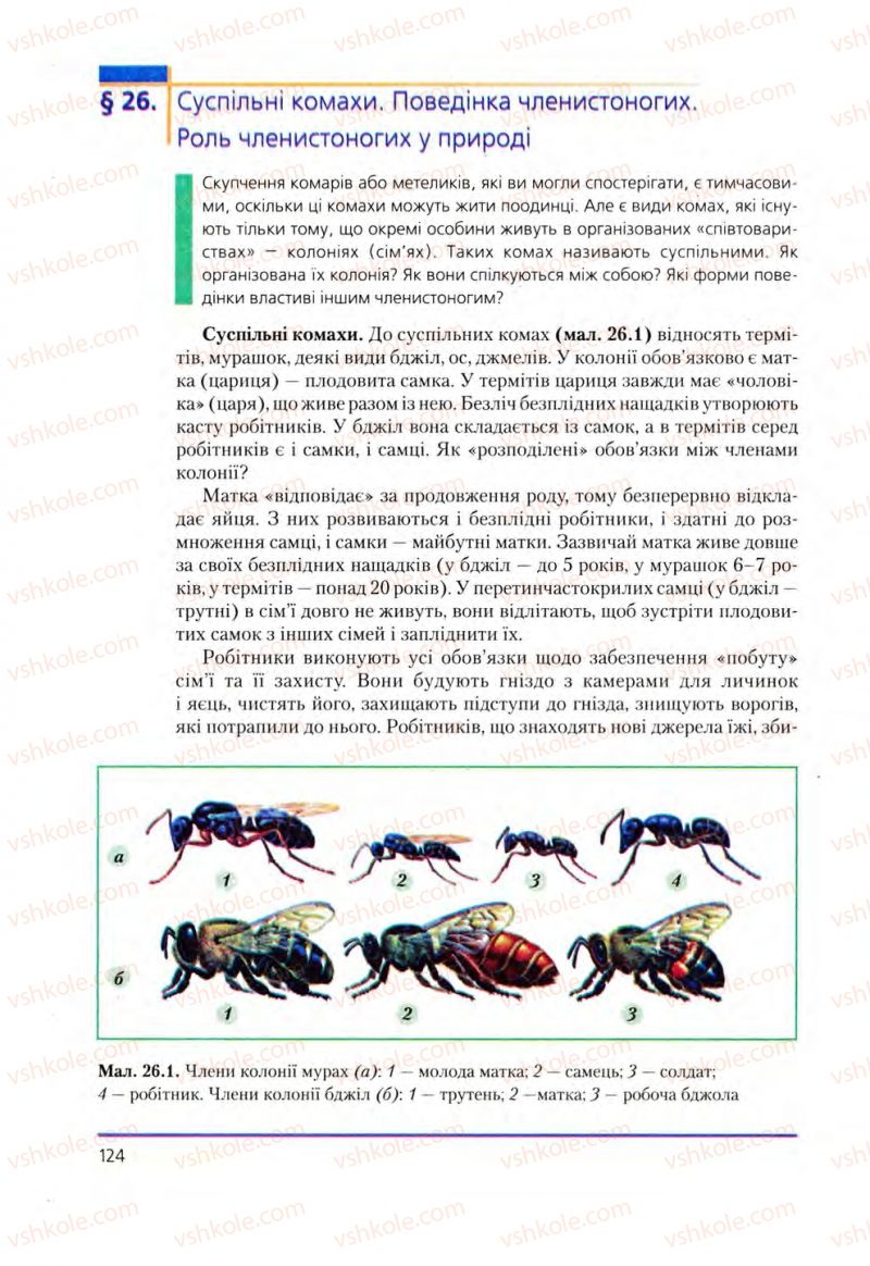 Страница 124 | Підручник Біологія 8 клас Т.І. Базанова, Ю.В. Павіченко, О.Г. Шатровський 2008