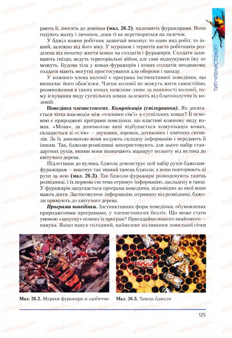 Страница 125 | Підручник Біологія 8 клас Т.І. Базанова, Ю.В. Павіченко, О.Г. Шатровський 2008