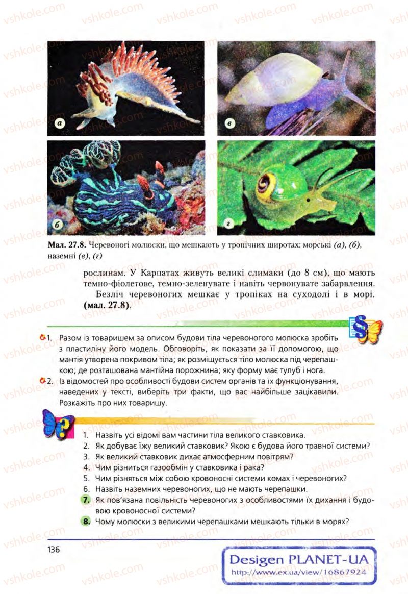Страница 136 | Підручник Біологія 8 клас Т.І. Базанова, Ю.В. Павіченко, О.Г. Шатровський 2008