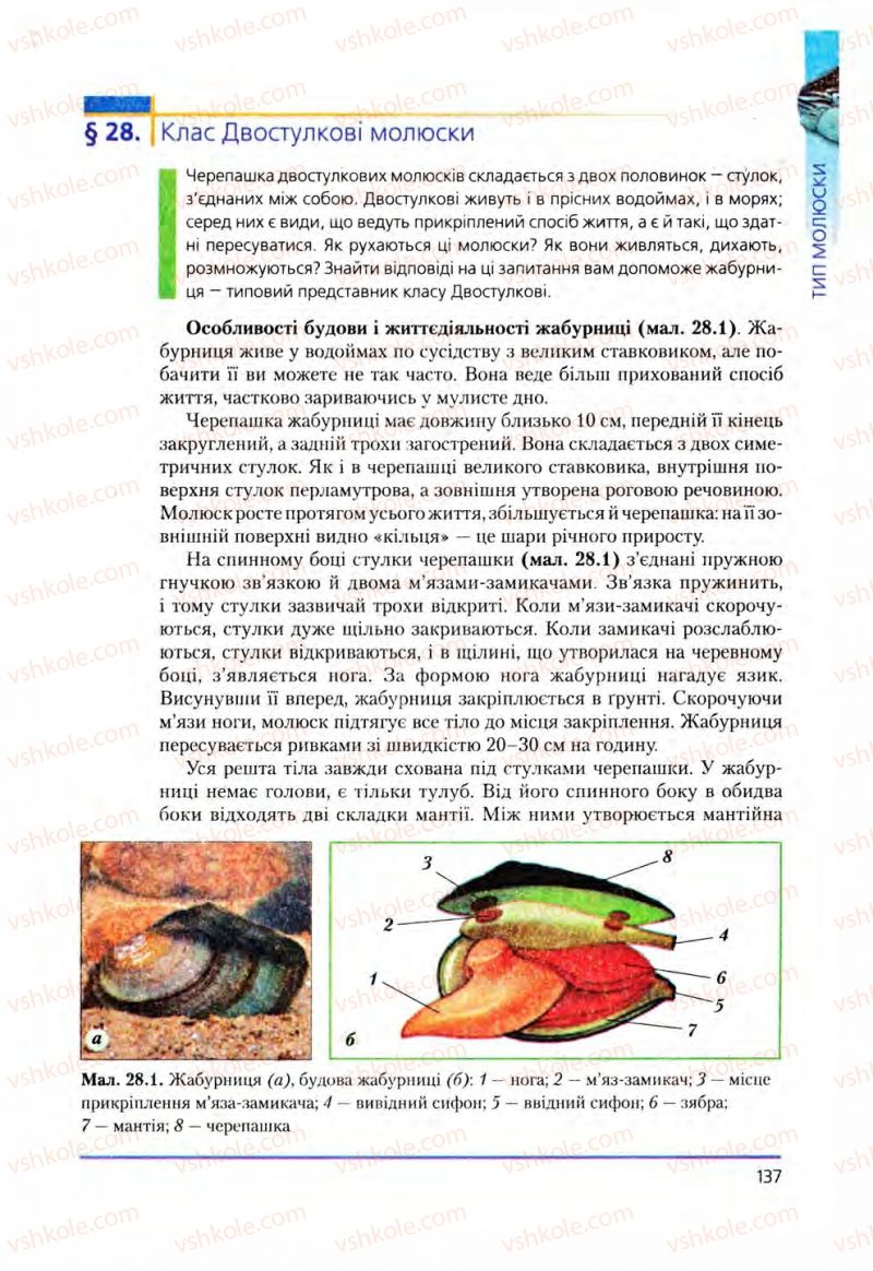 Страница 137 | Підручник Біологія 8 клас Т.І. Базанова, Ю.В. Павіченко, О.Г. Шатровський 2008
