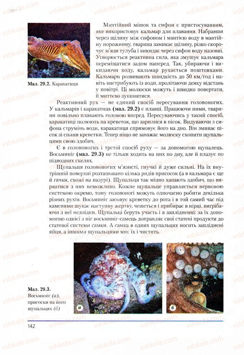Страница 142 | Підручник Біологія 8 клас Т.І. Базанова, Ю.В. Павіченко, О.Г. Шатровський 2008