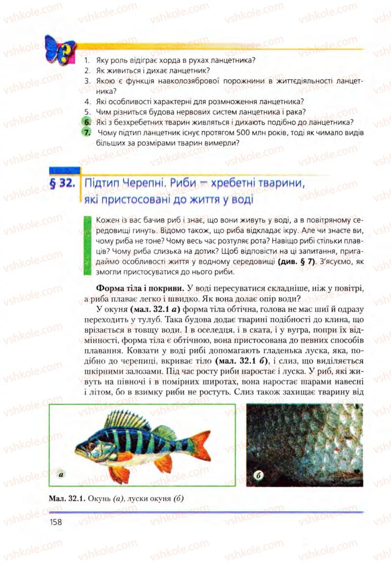 Страница 158 | Підручник Біологія 8 клас Т.І. Базанова, Ю.В. Павіченко, О.Г. Шатровський 2008
