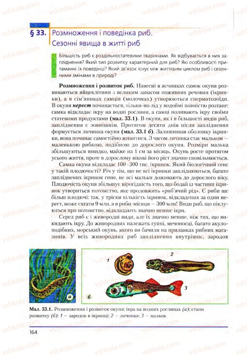 Страница 164 | Підручник Біологія 8 клас Т.І. Базанова, Ю.В. Павіченко, О.Г. Шатровський 2008