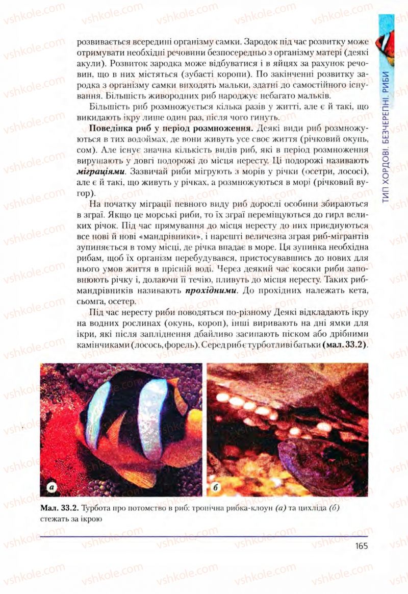 Страница 165 | Підручник Біологія 8 клас Т.І. Базанова, Ю.В. Павіченко, О.Г. Шатровський 2008