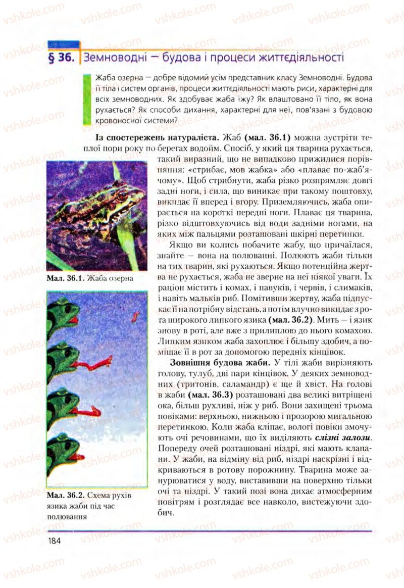 Страница 184 | Підручник Біологія 8 клас Т.І. Базанова, Ю.В. Павіченко, О.Г. Шатровський 2008