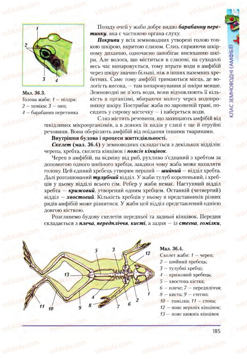 Страница 185 | Підручник Біологія 8 клас Т.І. Базанова, Ю.В. Павіченко, О.Г. Шатровський 2008