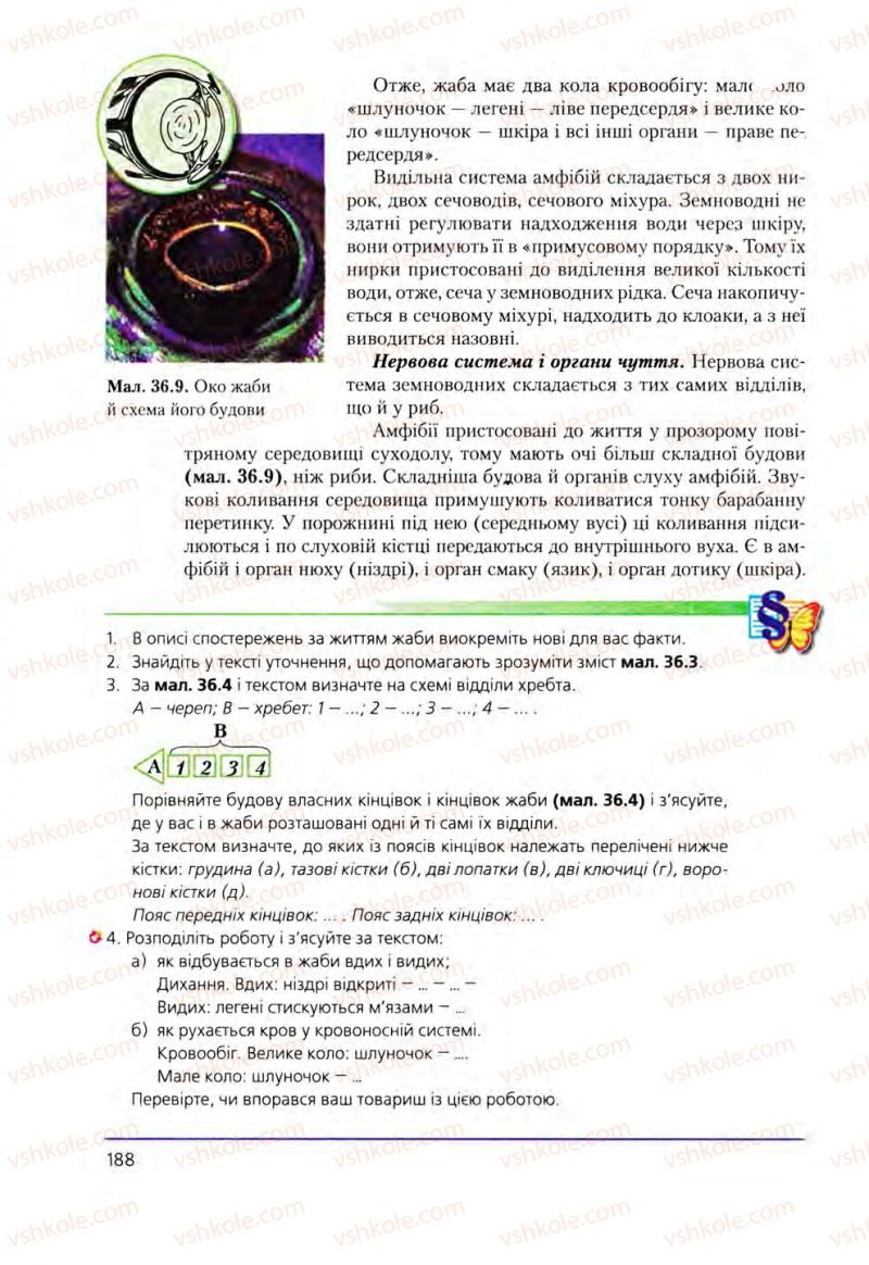 Страница 188 | Підручник Біологія 8 клас Т.І. Базанова, Ю.В. Павіченко, О.Г. Шатровський 2008
