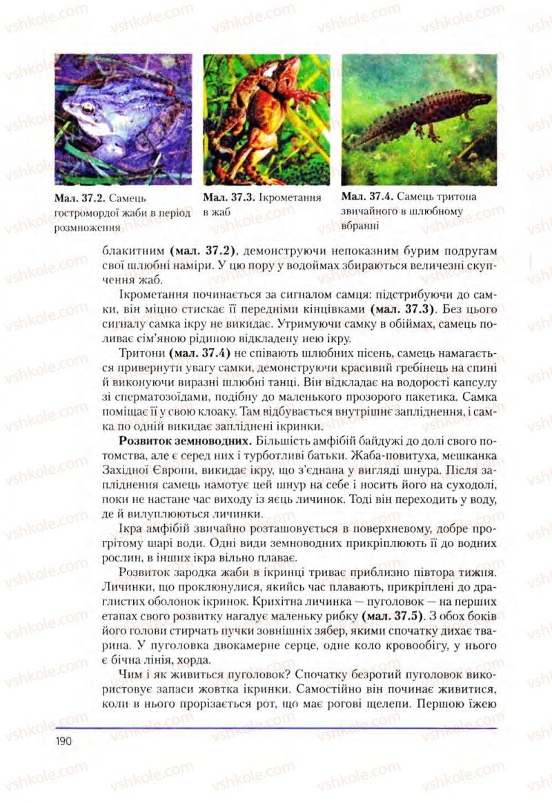 Страница 190 | Підручник Біологія 8 клас Т.І. Базанова, Ю.В. Павіченко, О.Г. Шатровський 2008