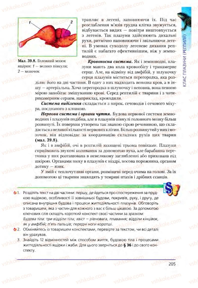 Страница 205 | Підручник Біологія 8 клас Т.І. Базанова, Ю.В. Павіченко, О.Г. Шатровський 2008