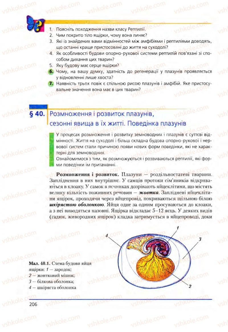 Страница 206 | Підручник Біологія 8 клас Т.І. Базанова, Ю.В. Павіченко, О.Г. Шатровський 2008