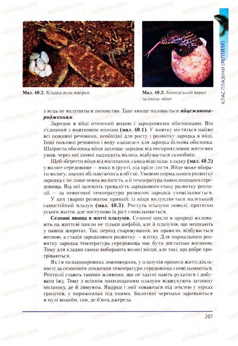 Страница 207 | Підручник Біологія 8 клас Т.І. Базанова, Ю.В. Павіченко, О.Г. Шатровський 2008