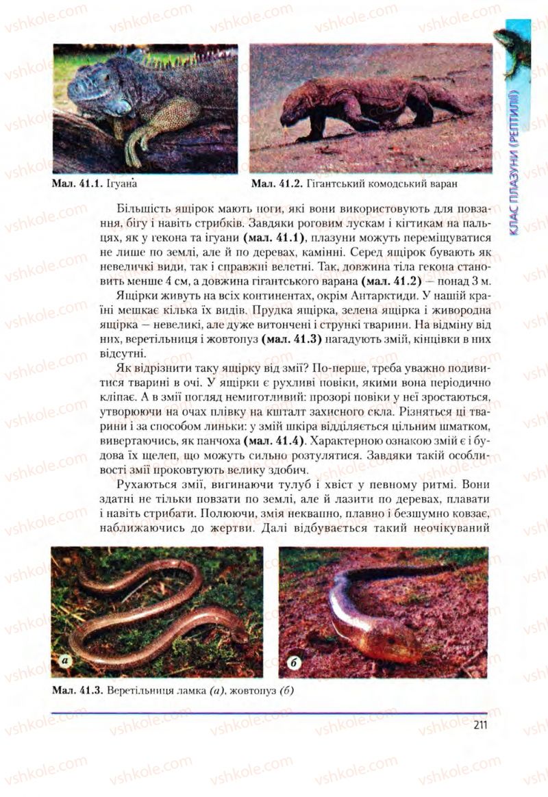 Страница 211 | Підручник Біологія 8 клас Т.І. Базанова, Ю.В. Павіченко, О.Г. Шатровський 2008