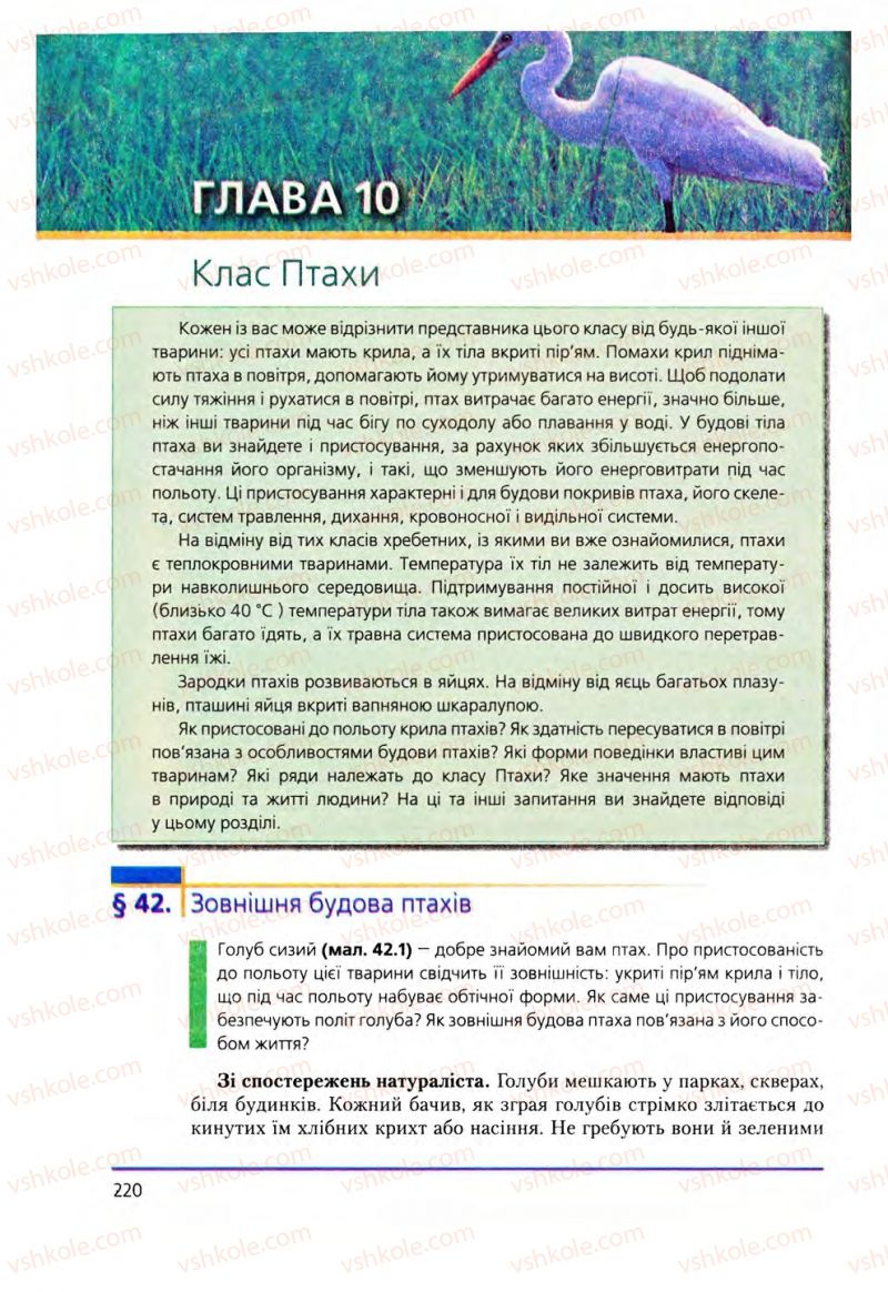 Страница 220 | Підручник Біологія 8 клас Т.І. Базанова, Ю.В. Павіченко, О.Г. Шатровський 2008