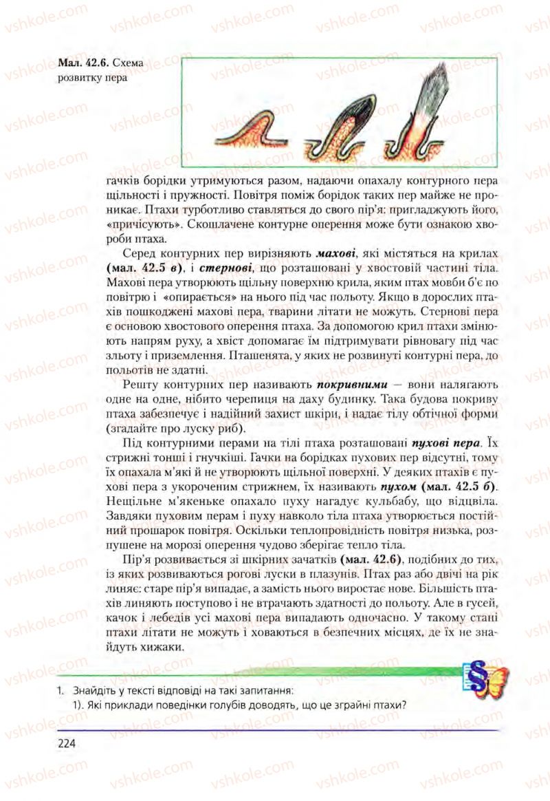Страница 224 | Підручник Біологія 8 клас Т.І. Базанова, Ю.В. Павіченко, О.Г. Шатровський 2008
