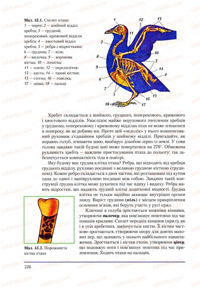 Страница 226 | Підручник Біологія 8 клас Т.І. Базанова, Ю.В. Павіченко, О.Г. Шатровський 2008