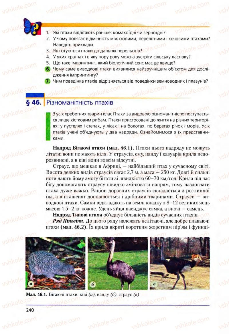 Страница 240 | Підручник Біологія 8 клас Т.І. Базанова, Ю.В. Павіченко, О.Г. Шатровський 2008