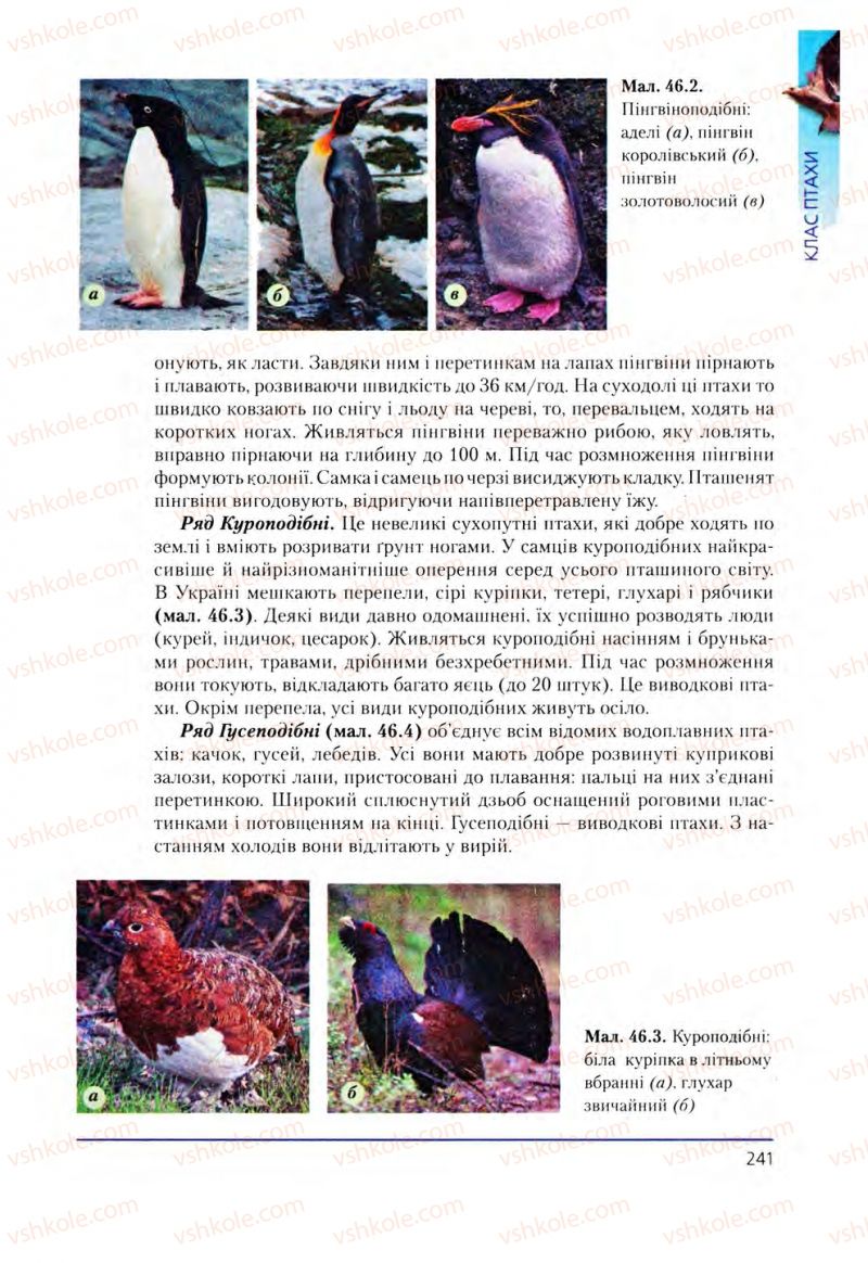 Страница 241 | Підручник Біологія 8 клас Т.І. Базанова, Ю.В. Павіченко, О.Г. Шатровський 2008