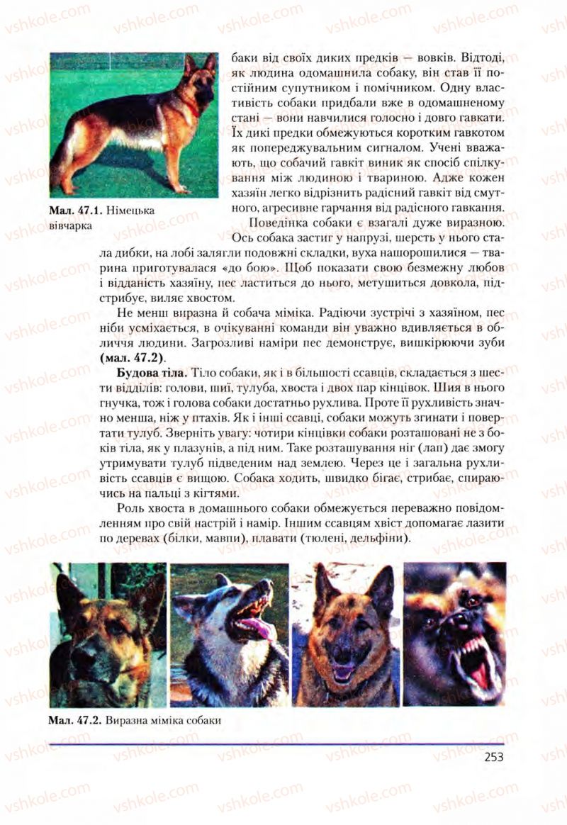 Страница 253 | Підручник Біологія 8 клас Т.І. Базанова, Ю.В. Павіченко, О.Г. Шатровський 2008