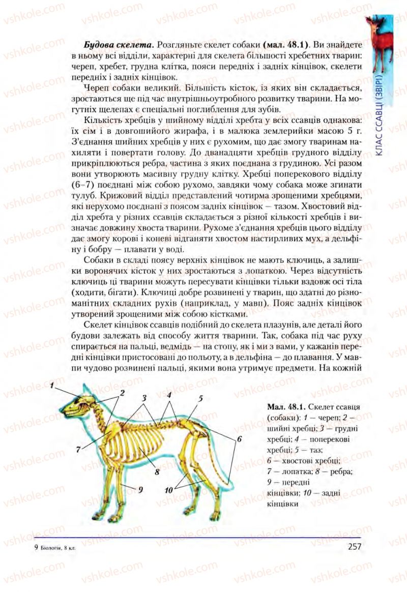 Страница 257 | Підручник Біологія 8 клас Т.І. Базанова, Ю.В. Павіченко, О.Г. Шатровський 2008