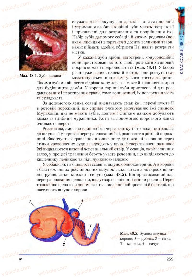 Страница 259 | Підручник Біологія 8 клас Т.І. Базанова, Ю.В. Павіченко, О.Г. Шатровський 2008