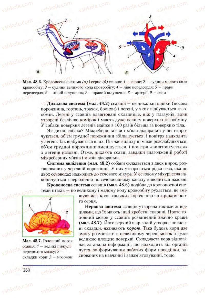 Страница 260 | Підручник Біологія 8 клас Т.І. Базанова, Ю.В. Павіченко, О.Г. Шатровський 2008