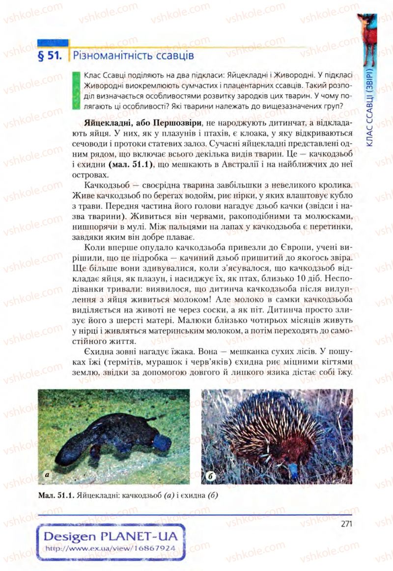 Страница 271 | Підручник Біологія 8 клас Т.І. Базанова, Ю.В. Павіченко, О.Г. Шатровський 2008