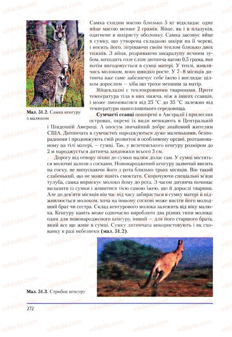 Страница 272 | Підручник Біологія 8 клас Т.І. Базанова, Ю.В. Павіченко, О.Г. Шатровський 2008