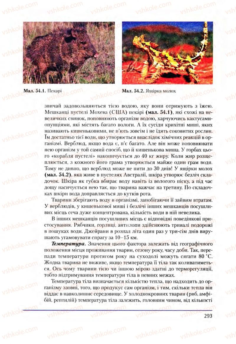 Страница 293 | Підручник Біологія 8 клас Т.І. Базанова, Ю.В. Павіченко, О.Г. Шатровський 2008
