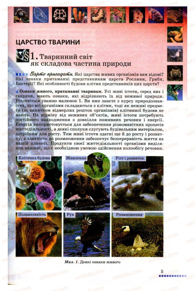 Страница 5 | Підручник Біологія 8 клас В.В. Серебряков, П.Г. Балан 2008