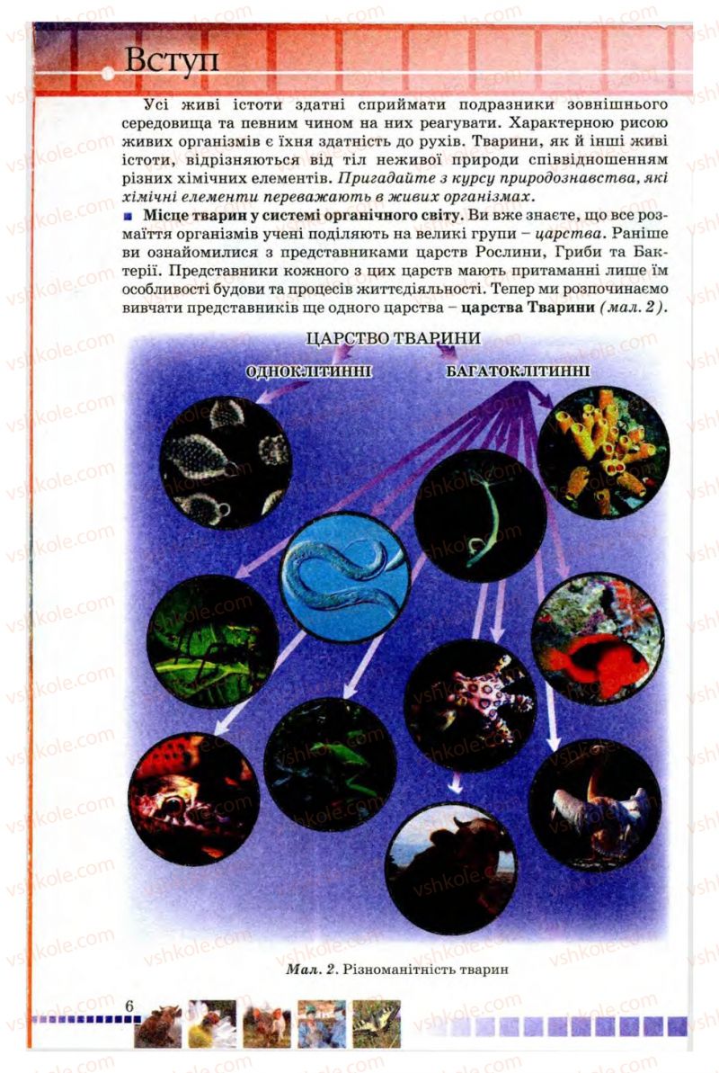 Страница 6 | Підручник Біологія 8 клас В.В. Серебряков, П.Г. Балан 2008