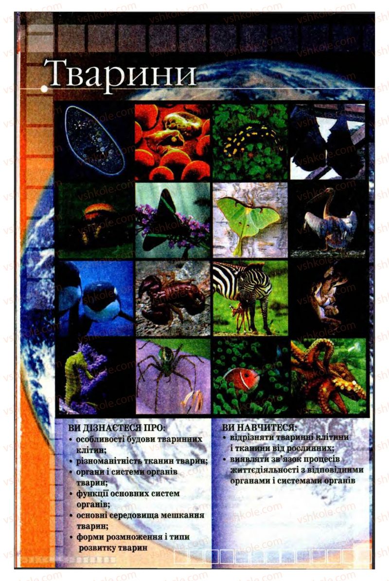 Страница 14 | Підручник Біологія 8 клас В.В. Серебряков, П.Г. Балан 2008