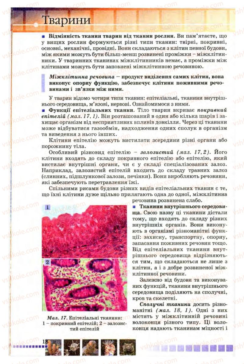 Страница 18 | Підручник Біологія 8 клас В.В. Серебряков, П.Г. Балан 2008