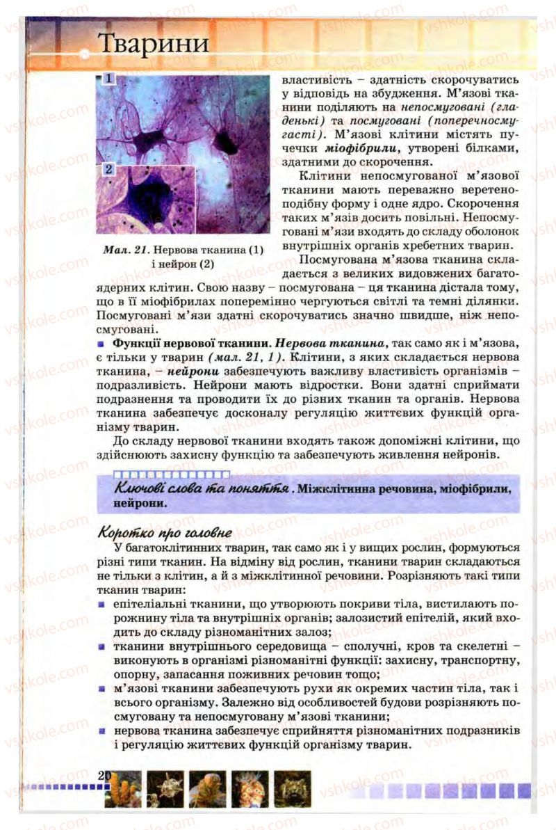 Страница 20 | Підручник Біологія 8 клас В.В. Серебряков, П.Г. Балан 2008