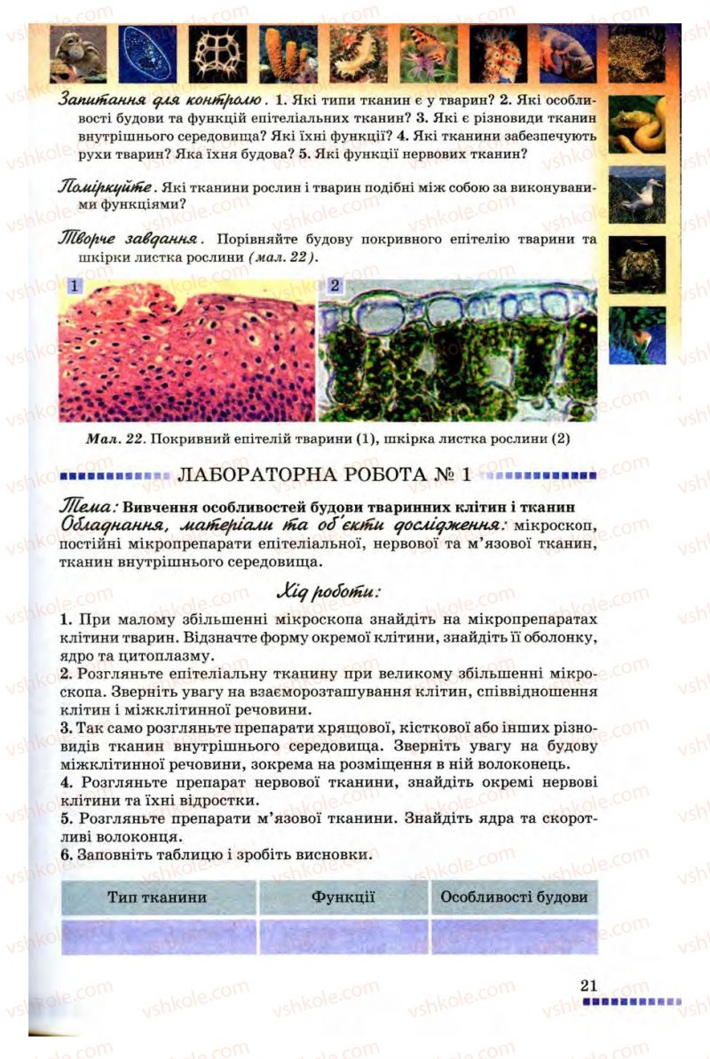 Страница 21 | Підручник Біологія 8 клас В.В. Серебряков, П.Г. Балан 2008