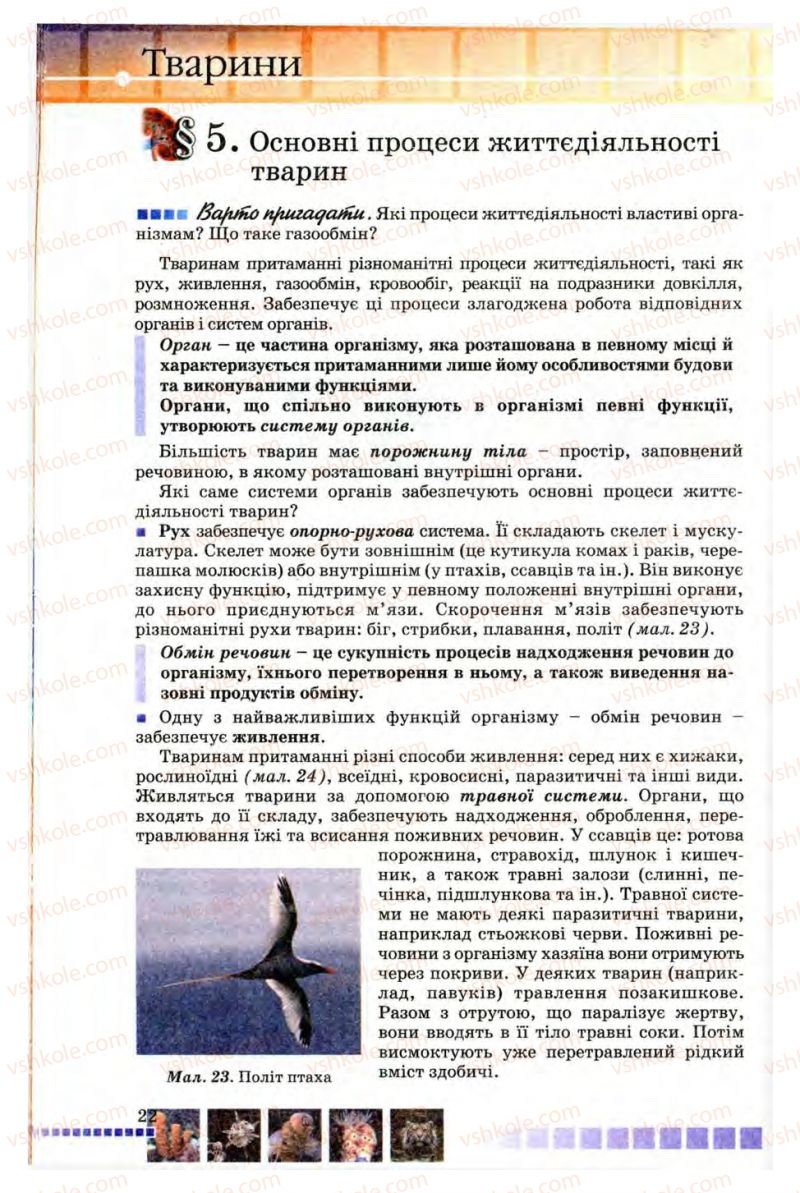 Страница 22 | Підручник Біологія 8 клас В.В. Серебряков, П.Г. Балан 2008