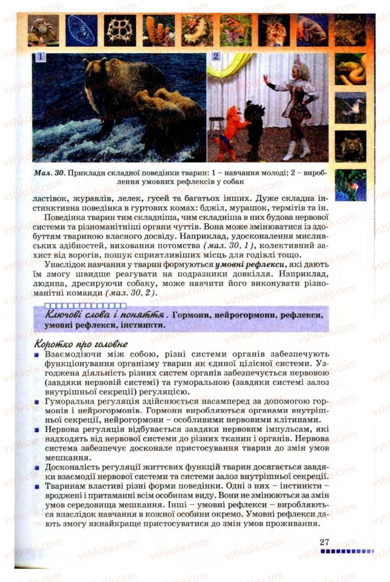 Страница 27 | Підручник Біологія 8 клас В.В. Серебряков, П.Г. Балан 2008