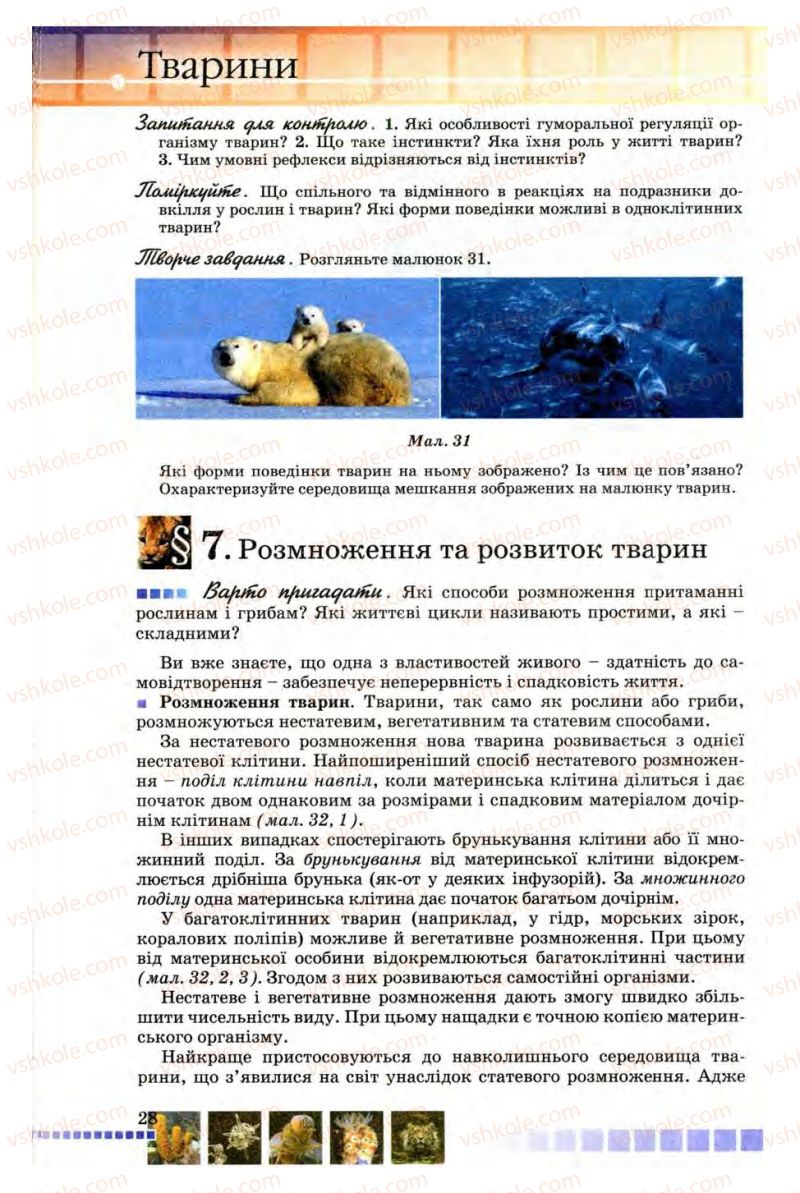 Страница 28 | Підручник Біологія 8 клас В.В. Серебряков, П.Г. Балан 2008