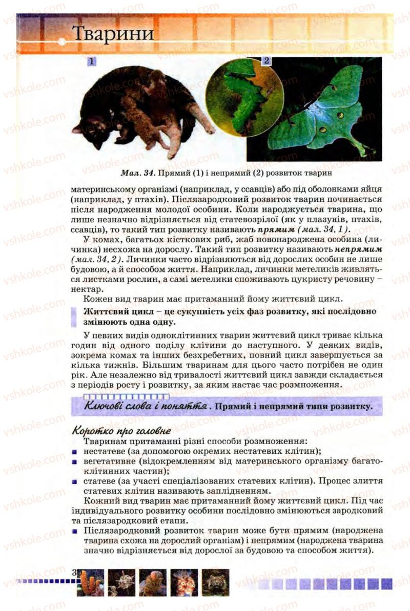 Страница 30 | Підручник Біологія 8 клас В.В. Серебряков, П.Г. Балан 2008