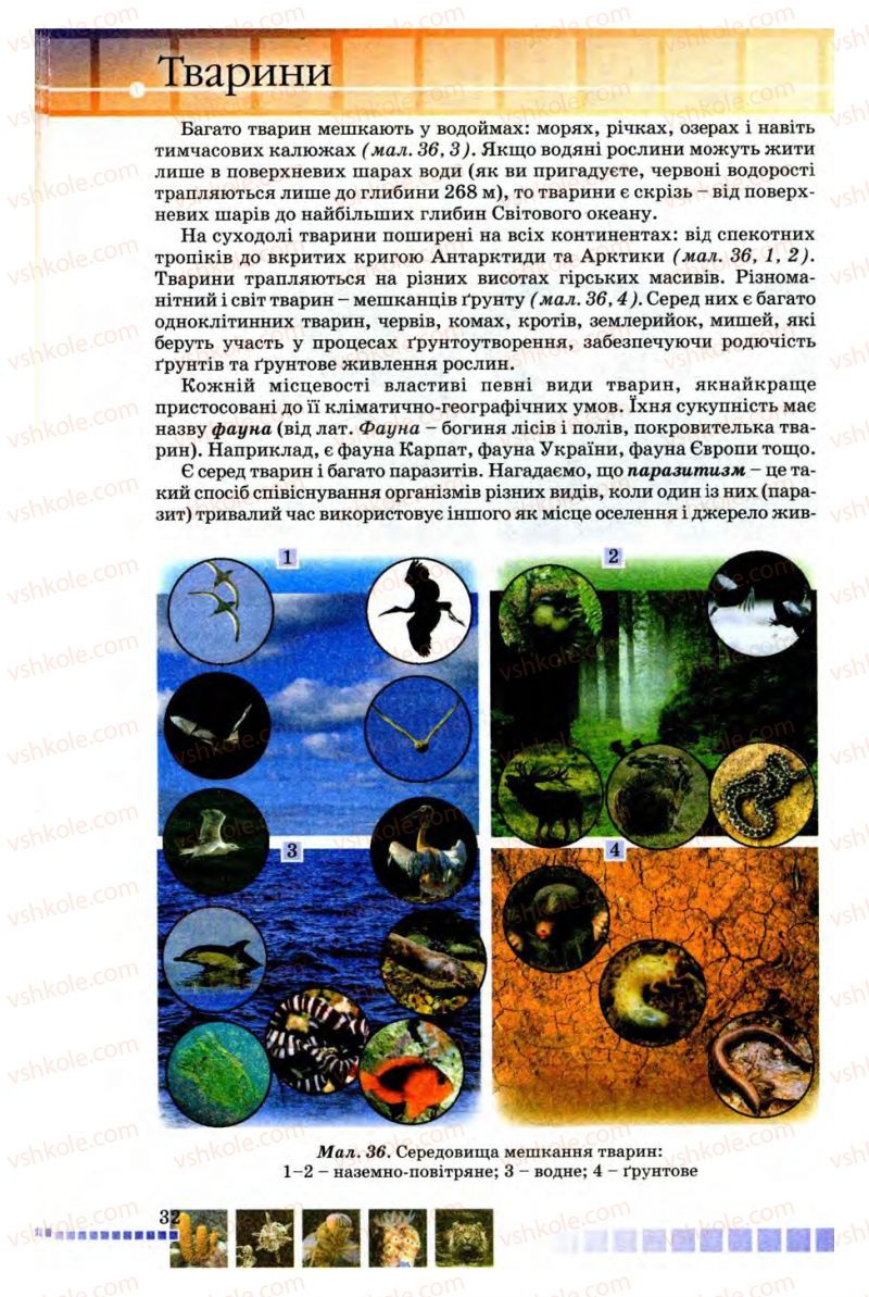 Страница 32 | Підручник Біологія 8 клас В.В. Серебряков, П.Г. Балан 2008