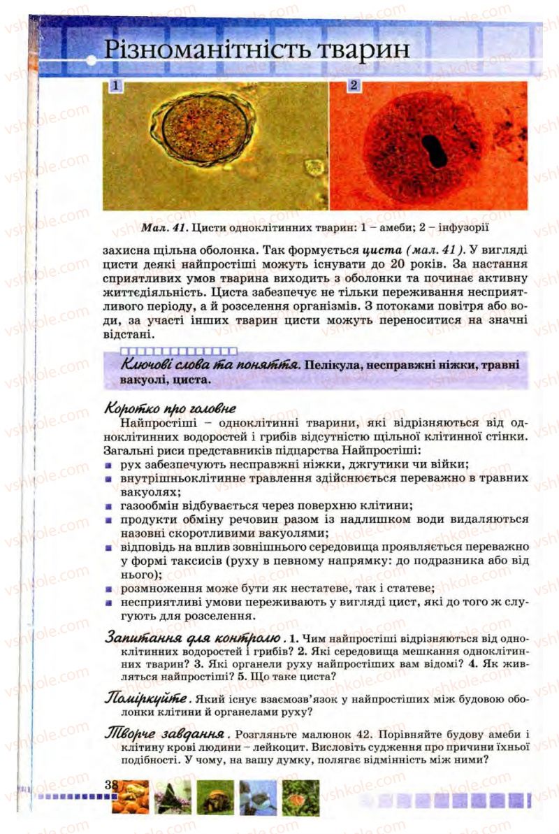 Страница 38 | Підручник Біологія 8 клас В.В. Серебряков, П.Г. Балан 2008
