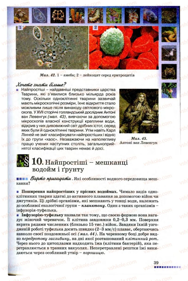 Страница 39 | Підручник Біологія 8 клас В.В. Серебряков, П.Г. Балан 2008