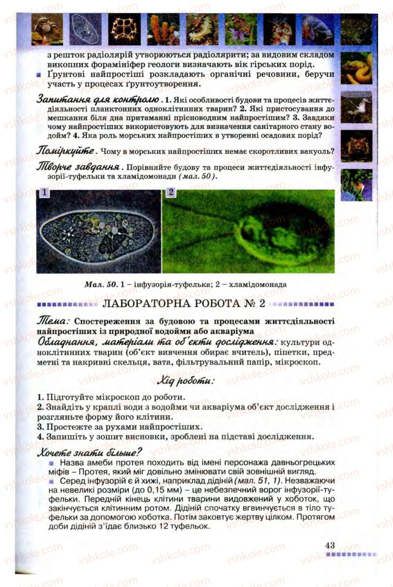 Страница 43 | Підручник Біологія 8 клас В.В. Серебряков, П.Г. Балан 2008