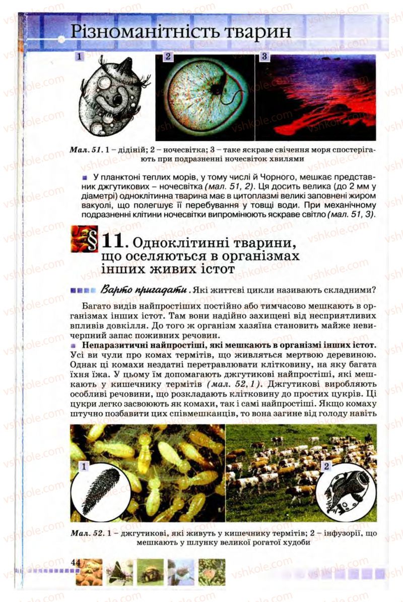 Страница 44 | Підручник Біологія 8 клас В.В. Серебряков, П.Г. Балан 2008