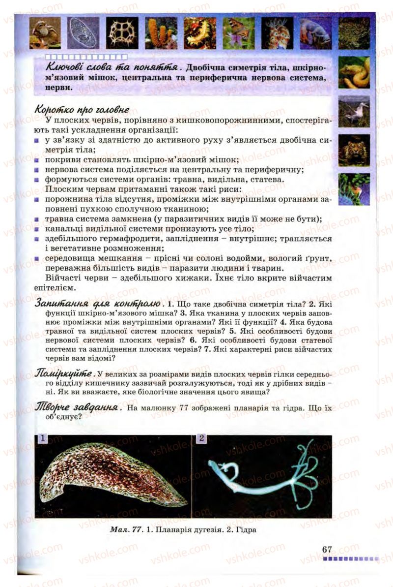 Страница 67 | Підручник Біологія 8 клас В.В. Серебряков, П.Г. Балан 2008