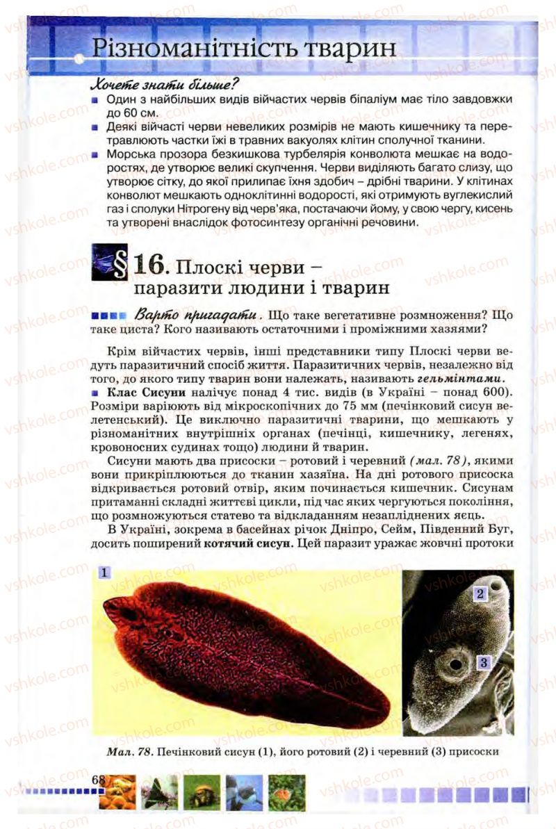 Страница 68 | Підручник Біологія 8 клас В.В. Серебряков, П.Г. Балан 2008