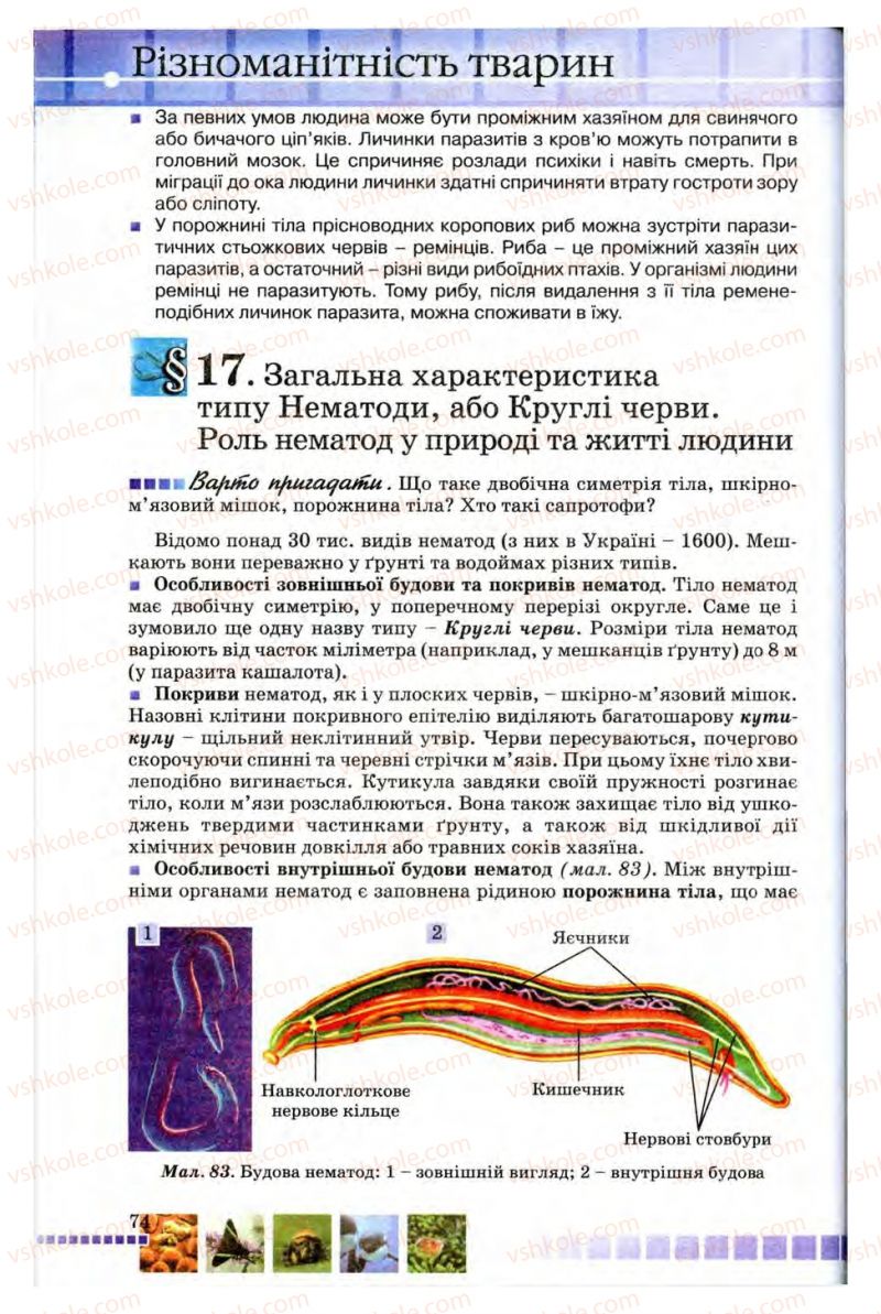 Страница 74 | Підручник Біологія 8 клас В.В. Серебряков, П.Г. Балан 2008