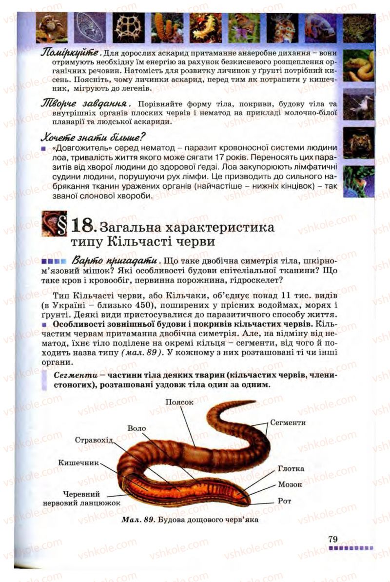 Страница 79 | Підручник Біологія 8 клас В.В. Серебряков, П.Г. Балан 2008