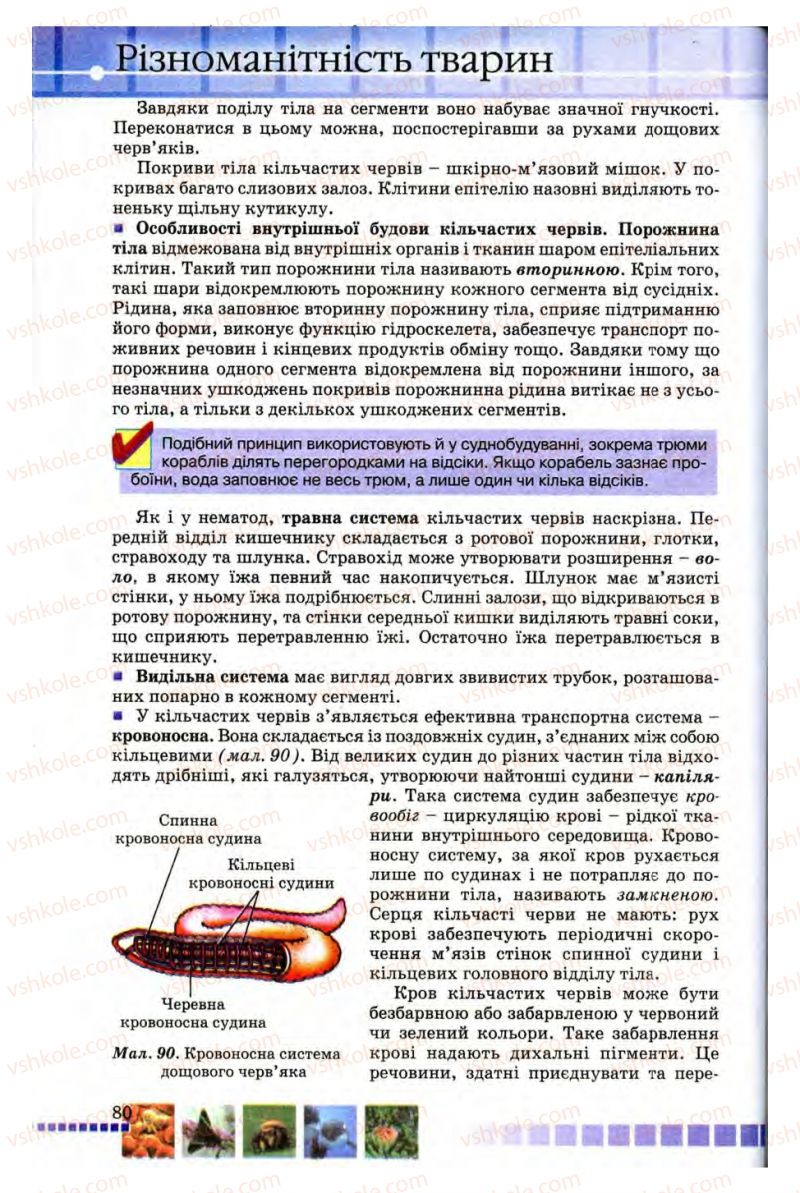 Страница 80 | Підручник Біологія 8 клас В.В. Серебряков, П.Г. Балан 2008