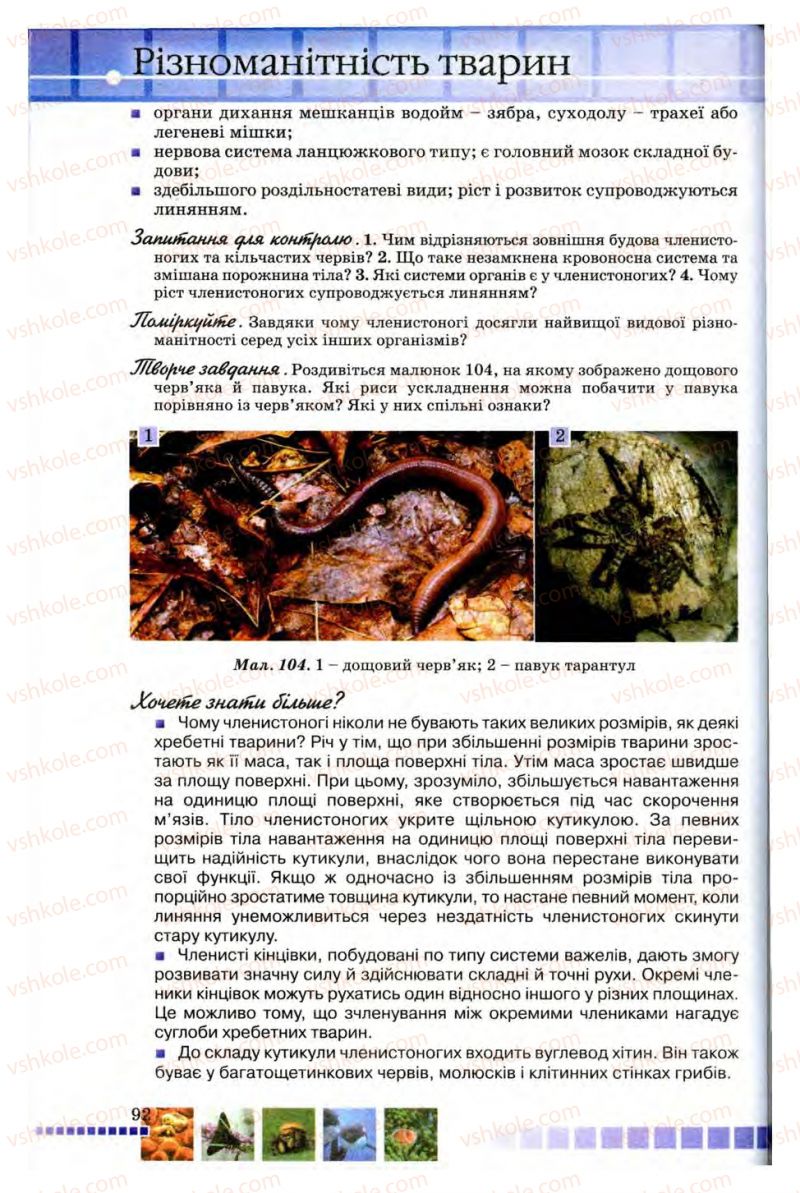 Страница 92 | Підручник Біологія 8 клас В.В. Серебряков, П.Г. Балан 2008